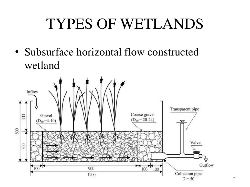 Constructed wetland management