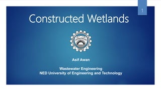 Asif Awan
Wastewater Engineering
NED University of Engineering and Technology
Constructed Wetlands
1
 