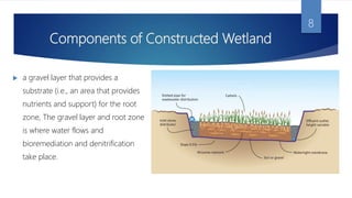 Constructed Wetlands | PPTX