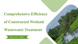 Comprehensive Efficiency
of Constructed Wetland
Wastewater Treatment
Reporter:安奕
 