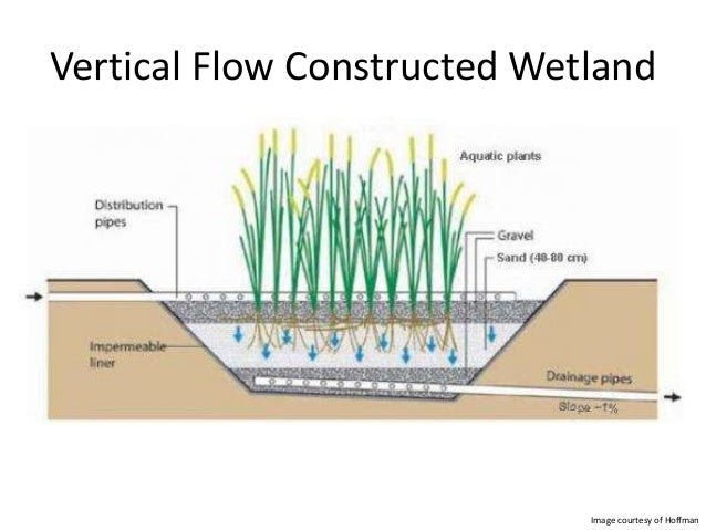 Constructed wetlands summary code innovation - feb 2013 marsh land diagram 