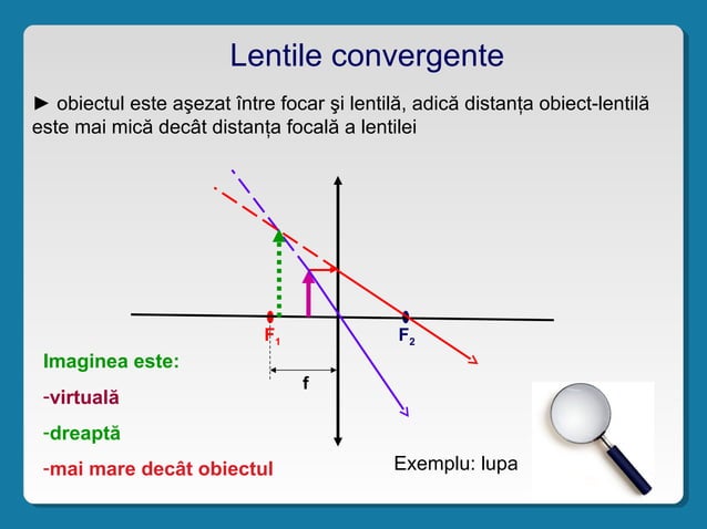 Lactibiane ATB - 10 caps main image 0