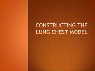 Constructing the lung chest model