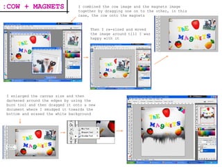 I combined the cow image and the magnets image together by dragging one on to the other, in this case, the cow onto the magnets Then I re-sized and moved the image around till I was happy with it I enlarged the canvas size and then darkened around the edges by using the burn tool and then dragged it onto a new document where I smudged it towards the bottom and erased the white background  :COW + MAGNETS 