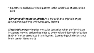 • Kinesthetic analysis of visual pattern is the initial task of association
area
Dynamic kinesthetic imagery is the cognitive creation of the
feeling of movements while physically moving
Kinesthetic imagery implies muscular sensation when performing an
imaginary moving action that leads to event-related desynchronization
(ERD) of motor-associated brain rhythms. (something which conscious
brain cannot identify :-|)
 