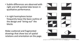 • Subtle differences are observed with
right and left parietal lobe lesion in
qualitative performance.
• In right hemisphere lesion
frequently loose the basic outline of
the design and “string out” the
blocks
Make scattered and fragmented
drawings that show loss of spatial
relations and orientation on the page.
 