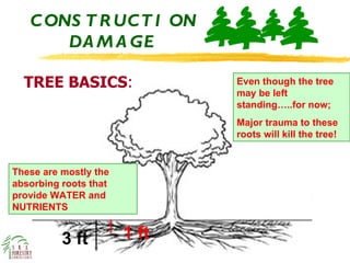 Structural Damage By Tree Roots Construction damage | PPT