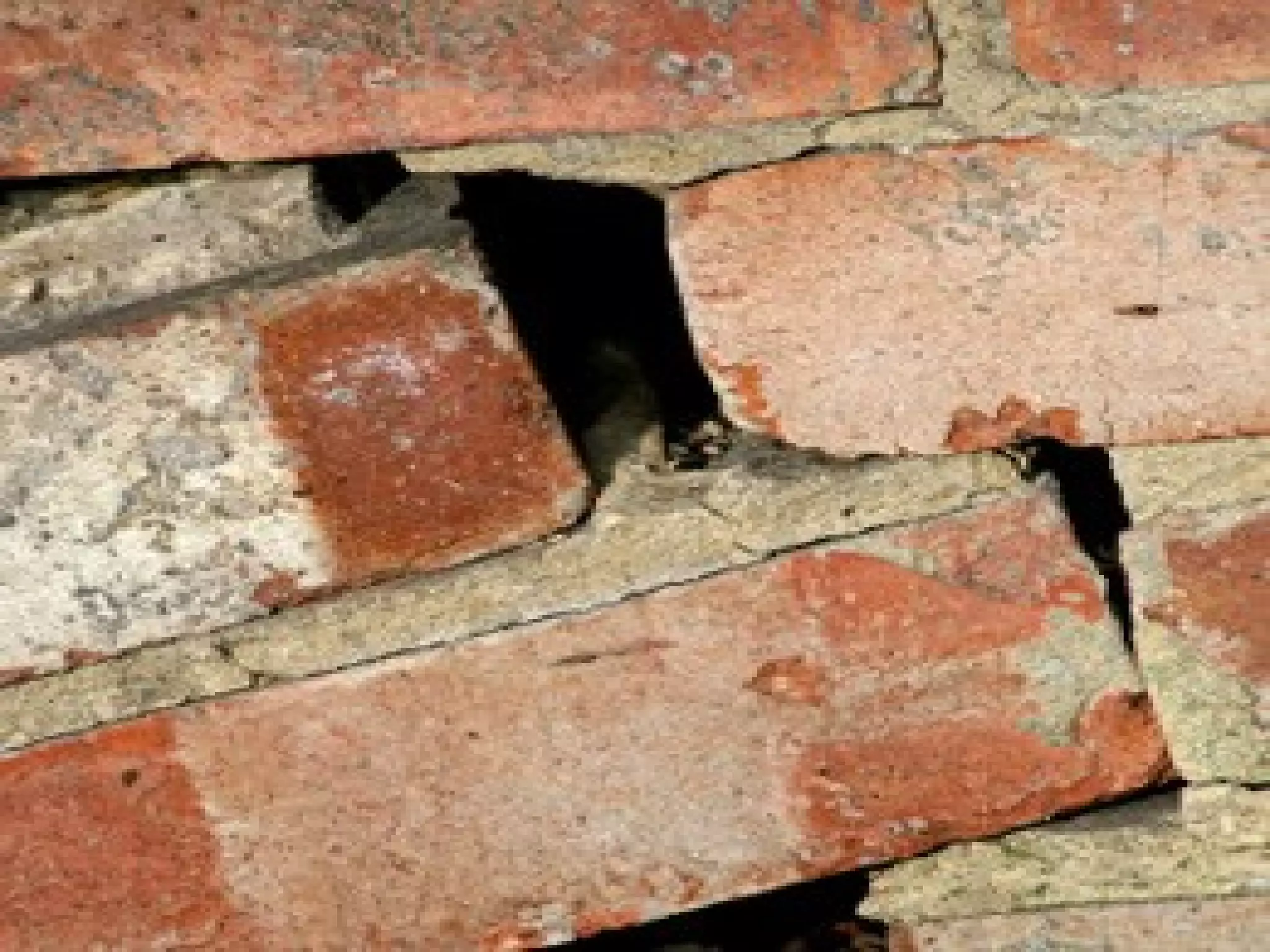 Construction defects