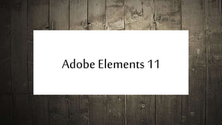 Adobe Elements 11
 
