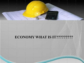 ECONOMY WHAT IS IT?????????
 