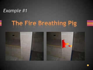 Example #1The Fire Breathing Pig