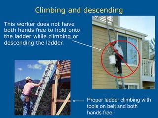 Climbing and descending
This worker does not have
both hands free to hold onto
the ladder while climbing or
descending the ladder.
Proper ladder climbing with
tools on belt and both
hands free
 