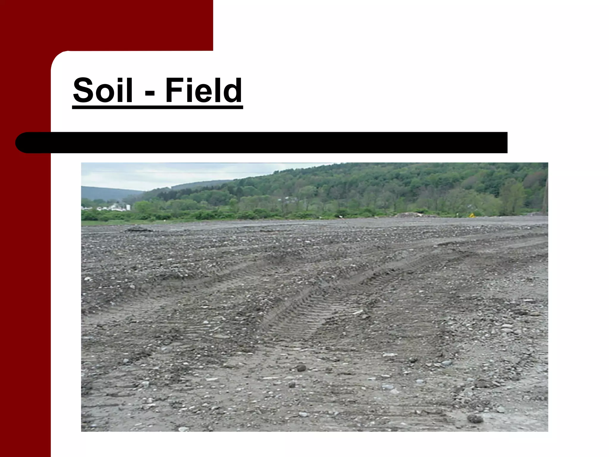 Soil - Field
 