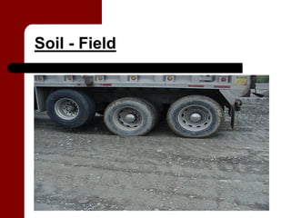 Soil - Field
 