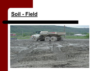 Soil - Field
 