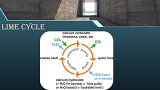 Lime cycle
 