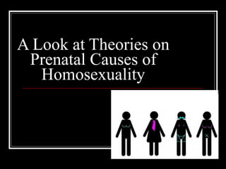 A Look at Theories on Prenatal Causes of Homosexuality 
