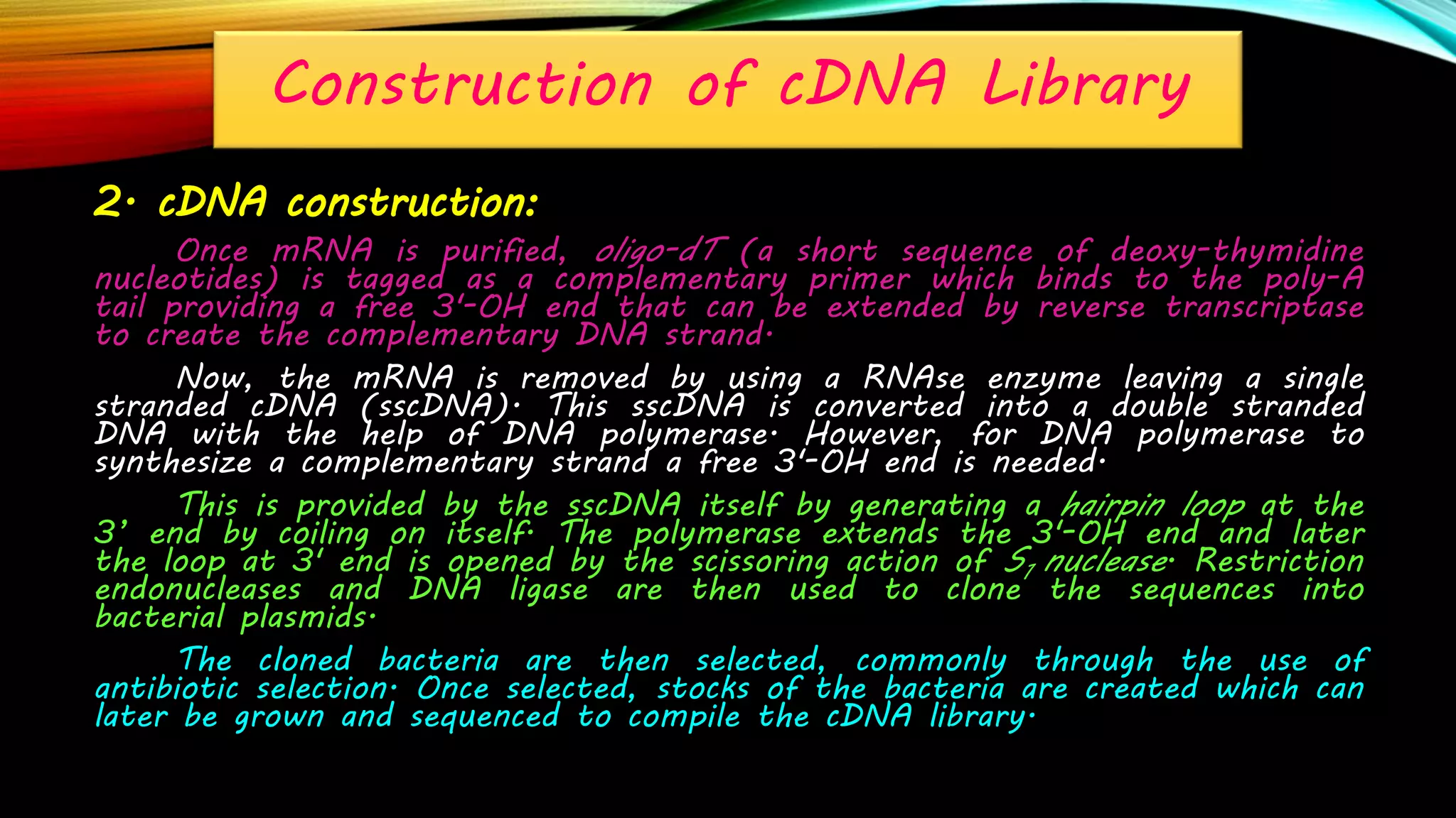 Construction of cDNA Library
2. cDNA construction:
Once mRNA is purified, oligo-dT (a short sequence of deoxy-thymidine
nucleotides) is tagged as a complementary primer which binds to the poly-A
tail providing a free 3'-OH end that can be extended by reverse transcriptase
to create the complementary DNA strand.
Now, the mRNA is removed by using a RNAse enzyme leaving a single
stranded cDNA (sscDNA). This sscDNA is converted into a double stranded
DNA with the help of DNA polymerase. However, for DNA polymerase to
synthesize a complementary strand a free 3'-OH end is needed.
This is provided by the sscDNA itself by generating a hairpin loop at the
3’ end by coiling on itself. The polymerase extends the 3'-OH end and later
the loop at 3' end is opened by the scissoring action of S1 nuclease. Restriction
endonucleases and DNA ligase are then used to clone the sequences into
bacterial plasmids.
The cloned bacteria are then selected, commonly through the use of
antibiotic selection. Once selected, stocks of the bacteria are created which can
later be grown and sequenced to compile the cDNA library.
 