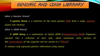 Construction of genomic and c dna library | PPTX