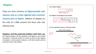 CONSTRUCTION OF GENOMIC LIBRARY MCBA P7 T (1).pdf