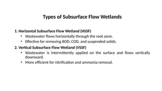 Construction of wetland for wastewater treatment.pptx