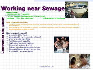 ©Consultnet Ltd
Working near Sewage
Working near Sewage
Health Risks:
Health Risks:
*Gastroenteritis *Hepatitis
*Weil’s disease (Leptospirosis) {Rats Urine}
*Asthma *Skin/Eye infections *Inflammation of the lungs
How to become infected:
How to become infected:
 Hand-to-mouth contact(eating, drinking, smoking, wiping the face with contaminated gloves) –
most common
 Skin contact(cuts, scratches or wounds and some organisms enter the body through the eyes)
 Breathing(either as dust or mist)
How to protect yourself:
How to protect yourself:
 Understand the risks
 Understand how you may be infected
 Wear protective clothing
 Avoid sewage if possible
 Apply good personal hygiene
 Cleanse all wounds & cover
 Change out of contaminated clothing
 Clean equipment & boots etc on site
 If in doubt - see your doctor
Construction
Construction
Site
Site
Safety
Safety
 