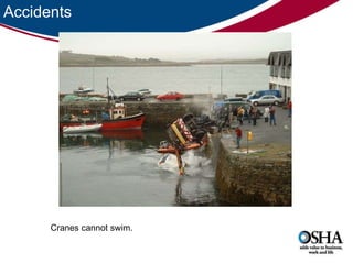 Accidents Cranes cannot swim.  