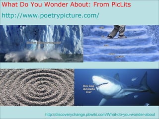 What Do You Wonder About: From PicLits  http://www.poetrypicture.com/   http://discoverychange.pbwiki.com/What-do-you-wonder-about   