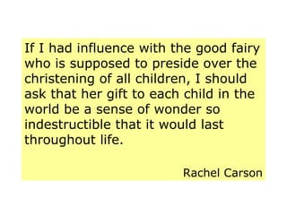 If I had influence with the good fairy who is supposed to preside over the christening of all children, I should ask that her gift to each child in the world be a sense of wonder so indestructible that it would last throughout life. Rachel Carson 