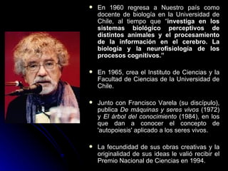 En 1960 regresa a Nuestro país como docente de biología en la Universidad de Chile, al tiempo que “ investiga en los sistemas biológico perceptivos de distintos animales y el procesamiento de la información en el cerebro. La biología y la neurofisiología de los procesos cognitivos.” En 1965, crea el Instituto de Ciencias y la Facultad de Ciencias de la Universidad de Chile. Junto con Francisco Varela (su discípulo), publica  De máquinas y seres vivos  (1972) y  El árbol del conocimiento  (1984), en los que dan a conocer el concepto de 'autopoiesis' aplicado a los seres vivos.  La fecundidad de sus obras creativas y la originalidad de sus ideas le valió recibir el Premio Nacional de Ciencias en 1994.  