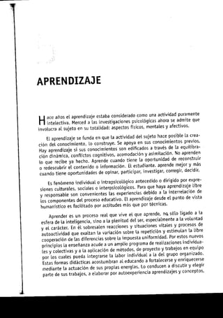 Aprendizajes sin limites (costructivismo)