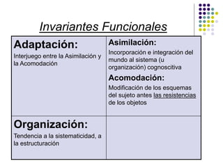 Invariantes Funcionales
Adaptación:
Interjuego entre la Asimilación y
la Acomodación
Asimilación:
Incorporación e integración del
mundo al sistema (u
organización) cognoscitiva
Acomodación:
Modificación de los esquemas
del sujeto antes las resistencias
de los objetos
Organización:
Tendencia a la sistematicidad, a
la estructuración
 