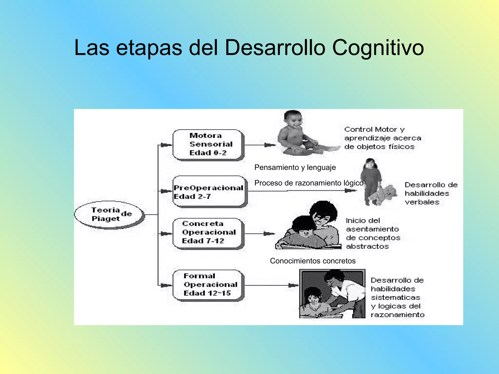Las etapas del Desarrollo Cognitivo




                  Pensamiento y lenguaje

                  Proceso de razonamiento lógico




                      Conocimientos concretos
 
