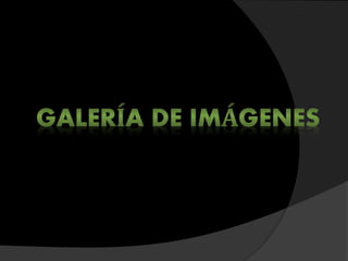 Constructivismo trabajo de diseño grafico