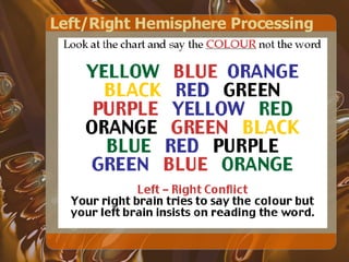 Left/Right Hemisphere Processing 