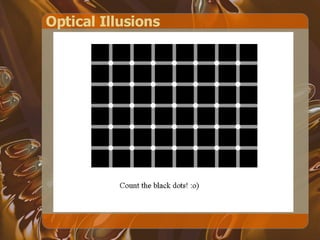 Optical Illusions 
