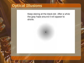Optical Illusions 