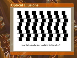 Optical Illusions 