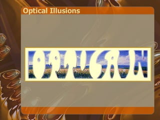 Optical Illusions 