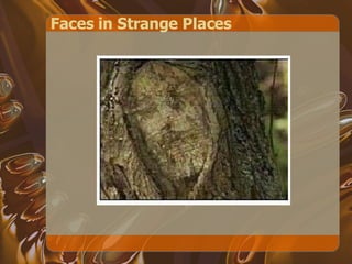 Faces in Strange Places 