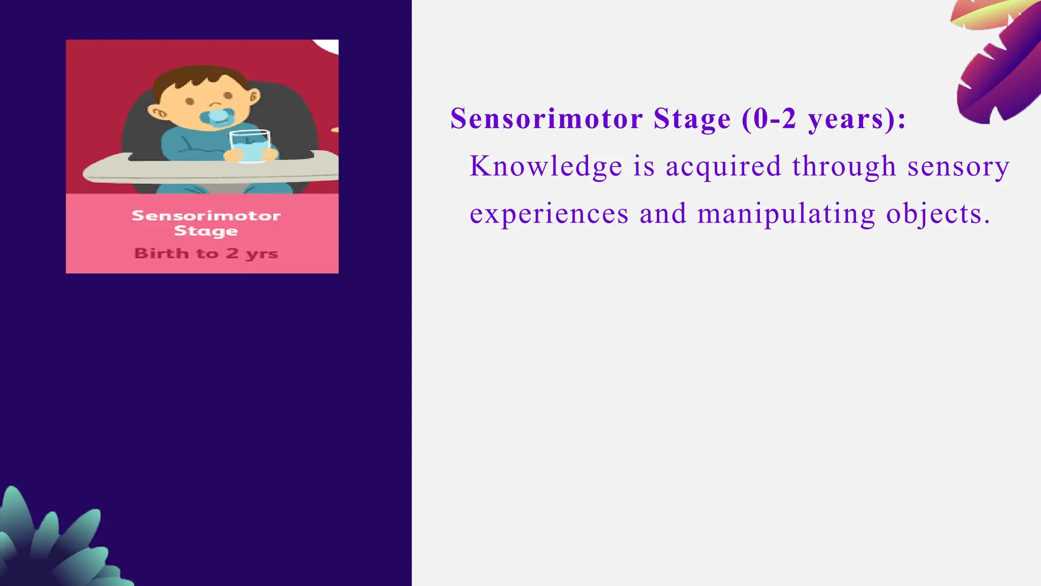 Sensorimotor Stage (0-2 years):
Knowledge is acquired through sensory
experiences and manipulating objects.
 