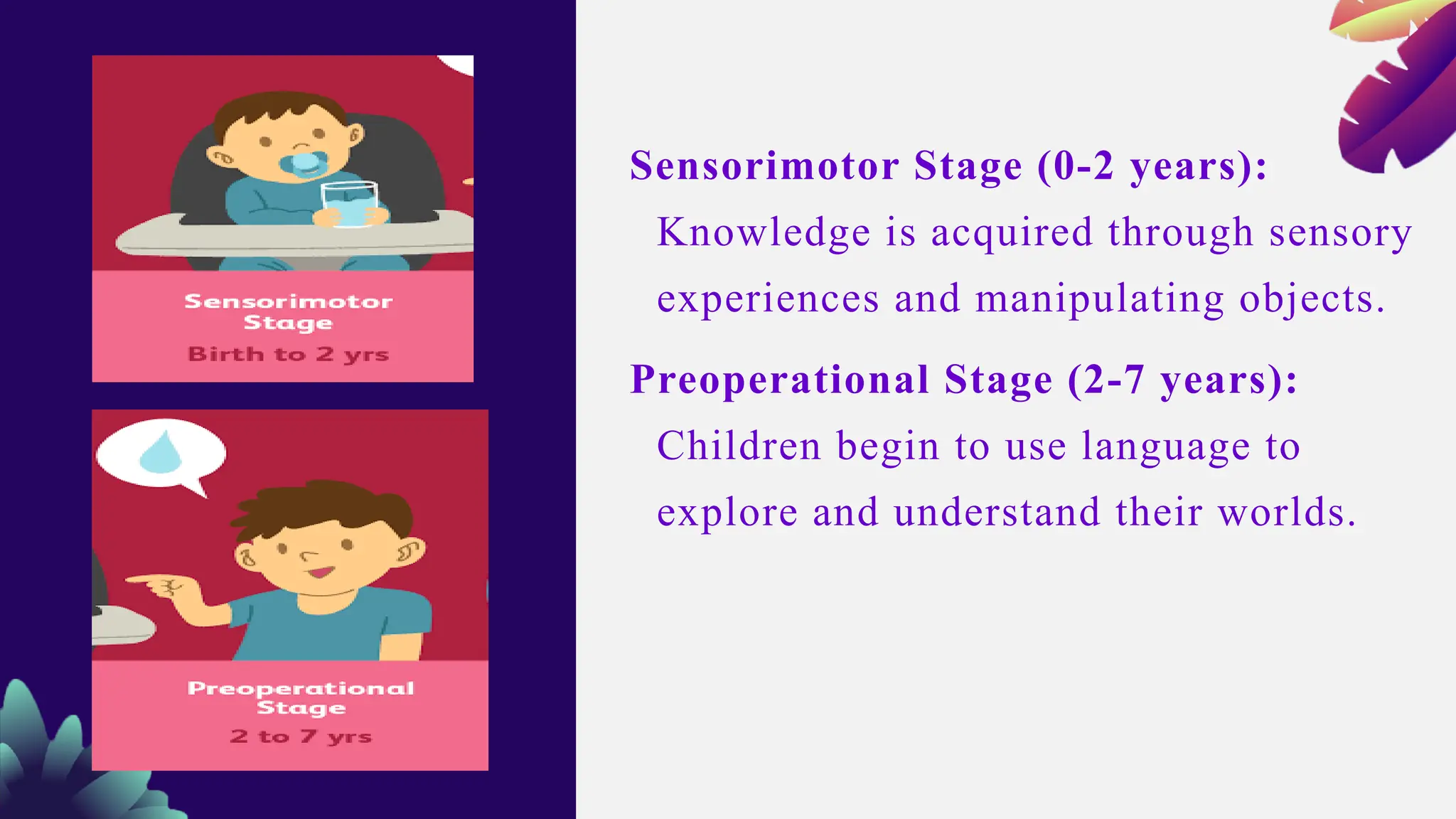 Sensorimotor Stage (0-2 years):
Knowledge is acquired through sensory
experiences and manipulating objects.
Preoperational Stage (2-7 years):
Children begin to use language to
explore and understand their worlds.
 