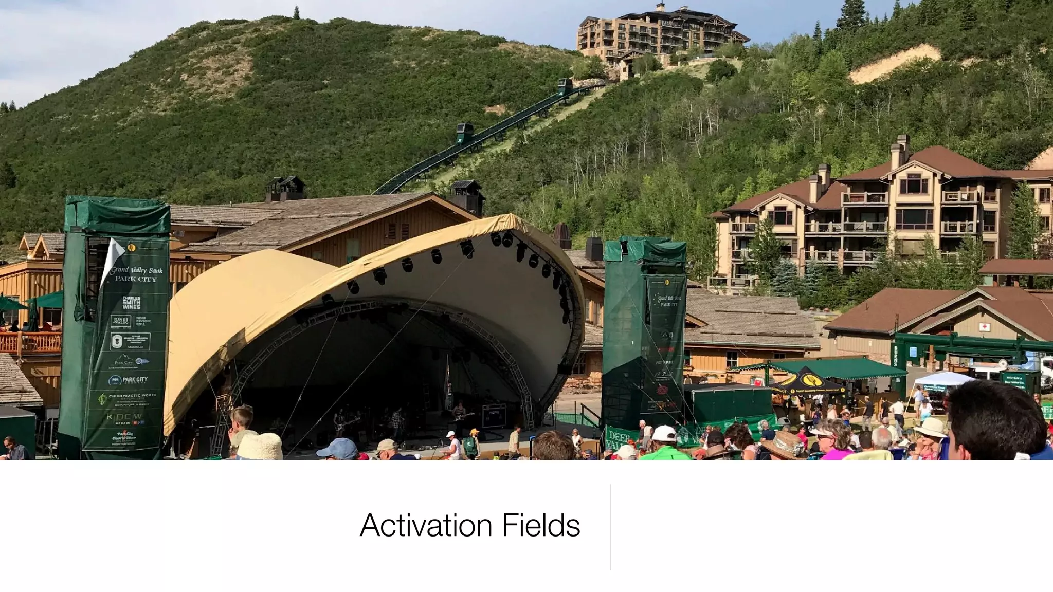 Activation Fields
 