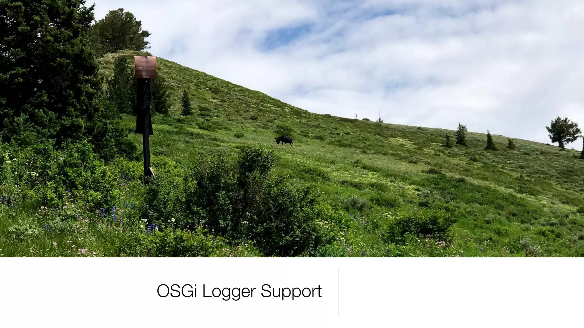 OSGi Logger Support
 