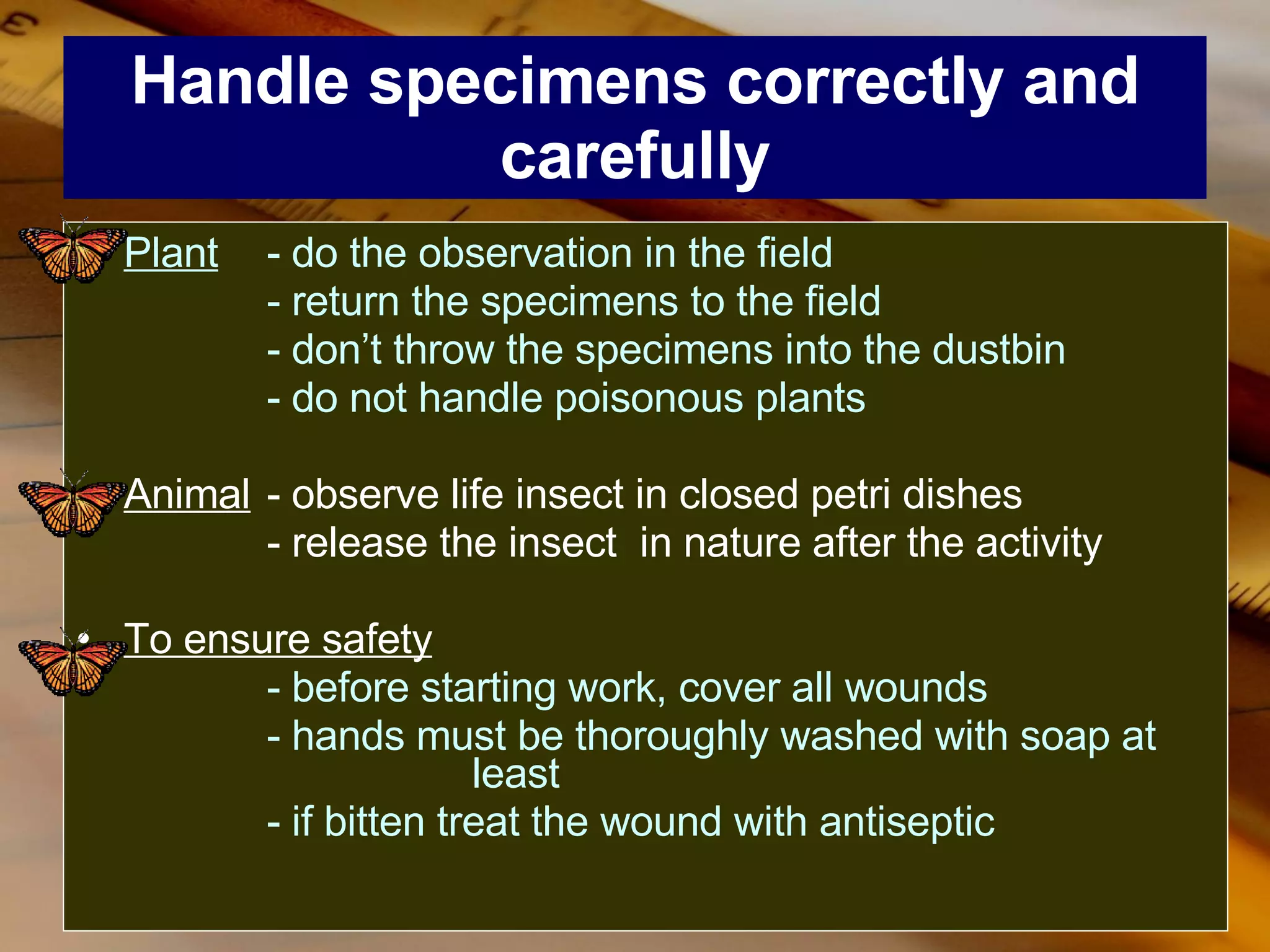 Handle specimens correctly and carefully Plant - do the observation in the field - return the specimens to the field - don’t throw the specimens into the dustbin - do not handle poisonous plants Animal - observe life insect in closed petri dishes - release the insect  in nature after the activity To ensure safety - before starting work, cover all wounds - hands must be thoroughly washed with soap at    least - if bitten treat the wound with antiseptic 