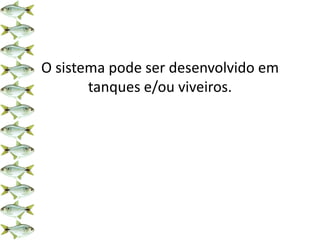 O sistema pode ser desenvolvido em
tanques e/ou viveiros.
 