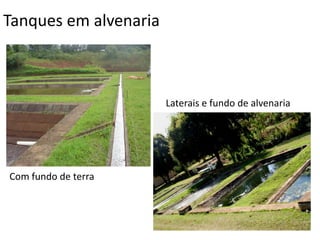 Tanques em alvenaria
Com fundo de terra
Laterais e fundo de alvenaria
 