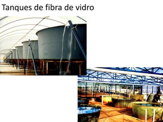 Tanques de fibra de vidro
 