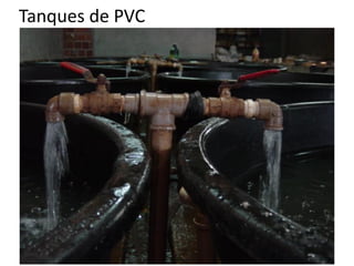 Tanques de PVC
 