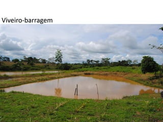 Viveiro-barragem
 